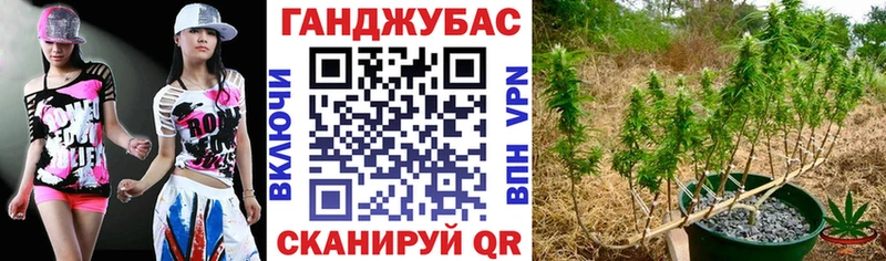 Магазин наркотиков Саратов Кокаин  NBOMe  ГАШИШ  СОЛЬ  Амфетамин  MEGA зеркало  Меф  Конопля 